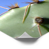 Psalm-Poster-Blume Poster (Ecke)