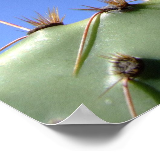 Psalm-Poster-Blume Poster (Ecke)