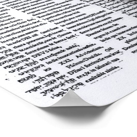 Psalm von David: Psalterim Octaplums, 1516 Poster (Ecke)