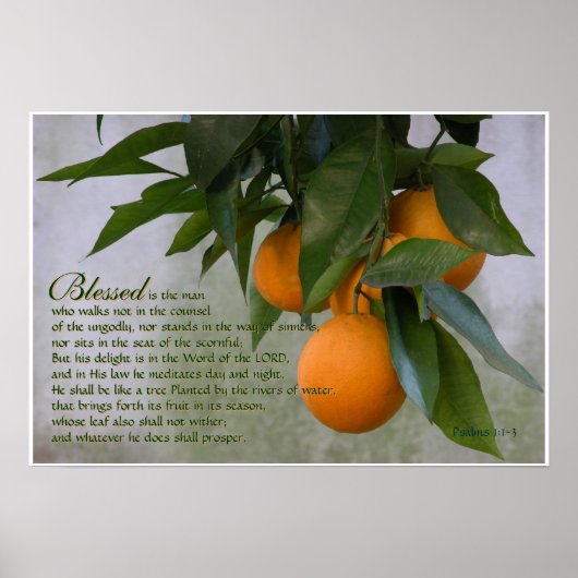 Psalmen 1:1-3 Schrift Drucken Poster (Vorne)