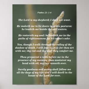 Psalmen 23: 1-6 poster