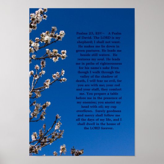 Psalmen 23 Poster (Vorne)