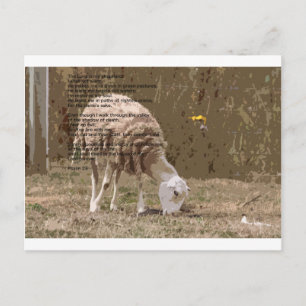 Psalmen 23 postkarte