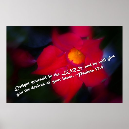 Psalmen 37:4 poster (Vorne)