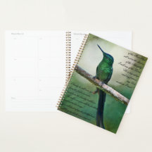 Psalmen 91:1-4 Inspiration