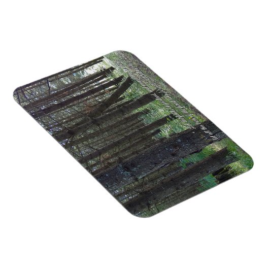 Psalmen 96:12 Inspiration Magnet (Rechte Seite)