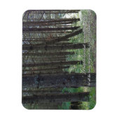 Psalmen 96:12 Inspiration Magnet (Vertikal)