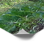 Psalmen 96:12 Inspiration Poster (Ecke)