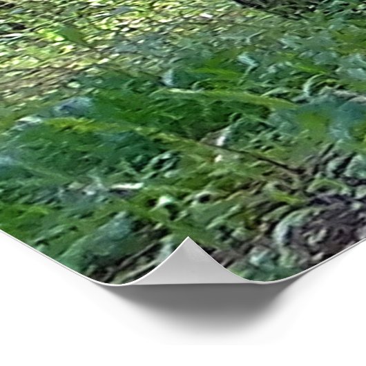 Psalmen 96:12 Inspiration Poster (Ecke)