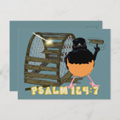 Psalmen - Weißer Rumped Shama Postkarte (Vorne/Hinten)