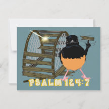 Psalmen - Weißer Rumped Shama