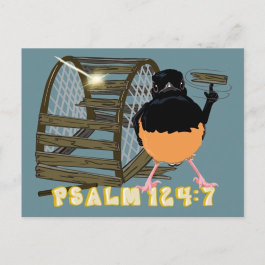 Psalmen - Weißer Rumped Shama Postkarte (Vorderseite)