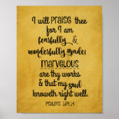 Psalms 139.14 Lob, wunderbar gemacht Poster (Vorne)