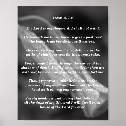 Psalms 23: 1-6 poster (Vorne)