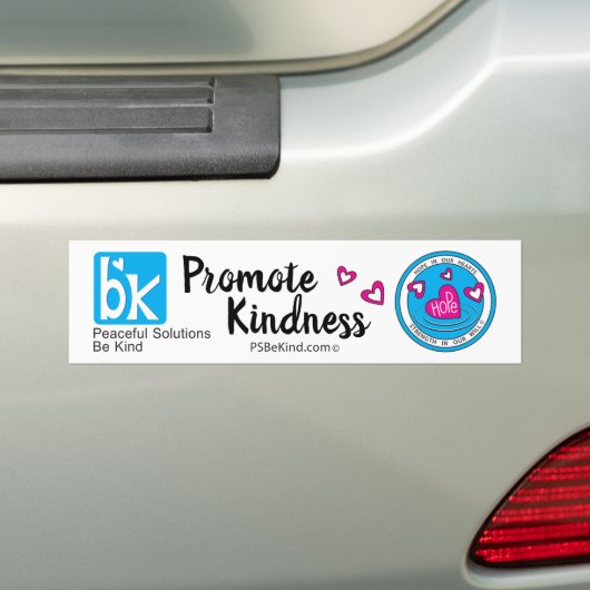 PSBeKind_Friedlich Solutions_ Autoaufkleber (Auf Auto)