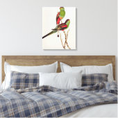 Psephotus Pulcherrimus Leinwanddruck (Insitu (Schlafzimmer))