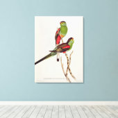 Psephotus Pulcherrimus Leinwanddruck (Insitu (Holzboden))