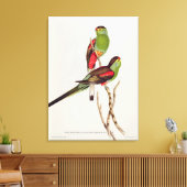 Psephotus Pulcherrimus Leinwanddruck (Insitu (Wohnzimmer))