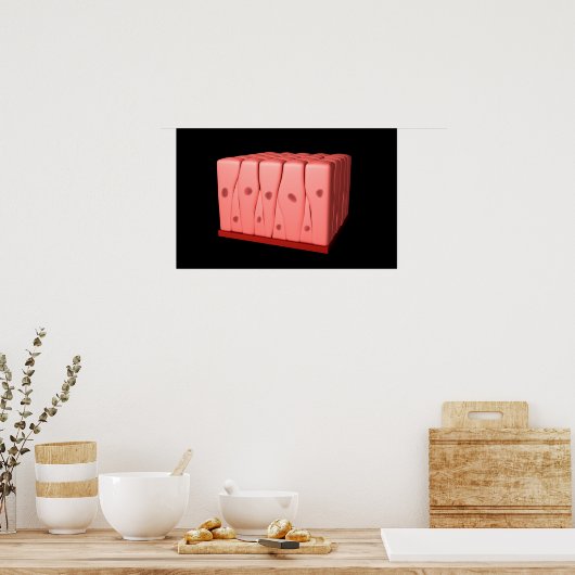 Pseudostratifiziertes Columnar Epithelium Poster (Küche)