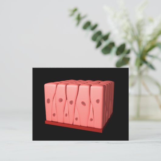 Pseudostratifiziertes Columnar Epithelium Postkarte (Stehend Vorderseite)