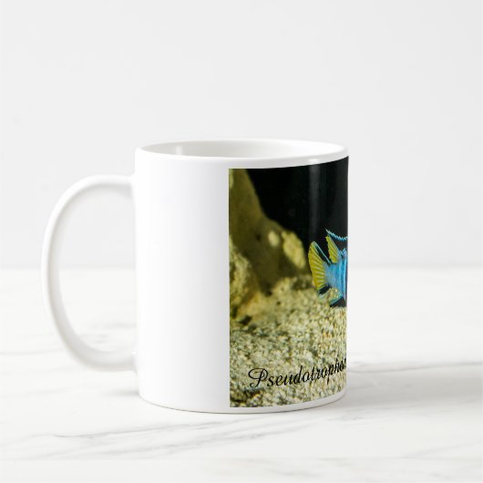 Pseudotropheus elongatus Cichlid Kaffeetasse (Links)