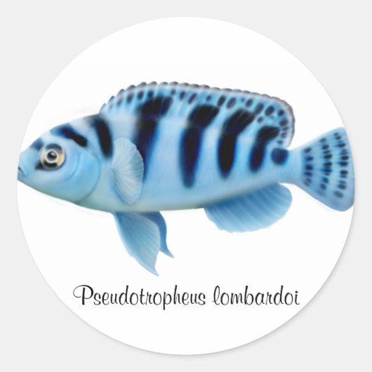 Pseudotropheus lombardoi African Cichlid Sticker (Vorderseite)