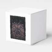 Psilocybe Allenii Geschenkschachtel (Vorderseite)