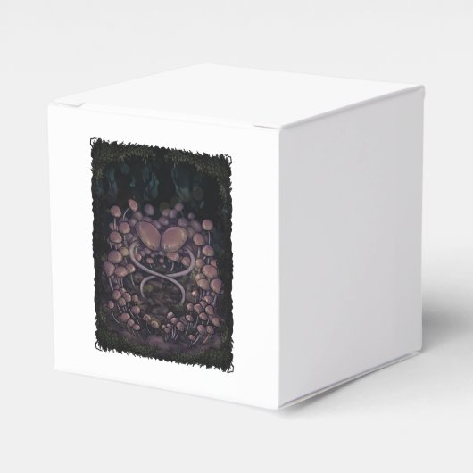 Psilocybe Allenii Geschenkschachtel (Vorderseite)