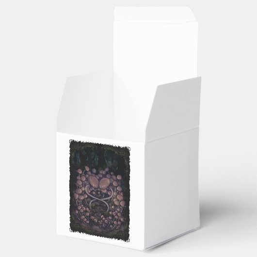 Psilocybe Allenii Geschenkschachtel (Geöffnet)