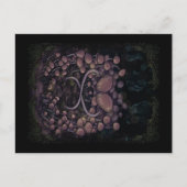 Psilocybe Allenii Postkarte (Vorderseite)