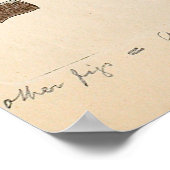 Psilocybe semilanceata Pilztäuschung Poster (Ecke)