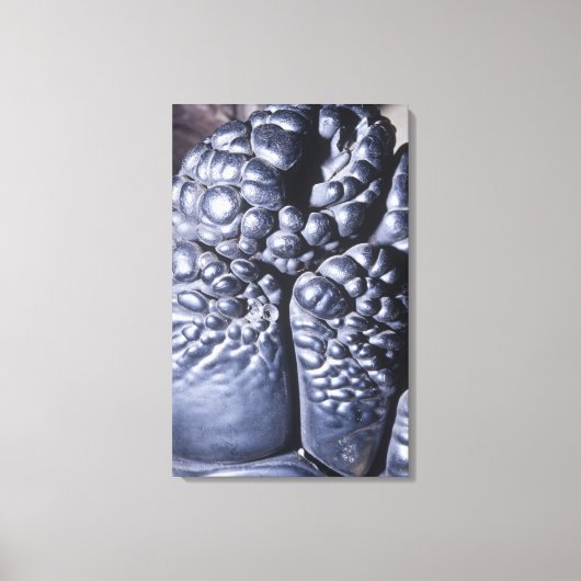 Psilomelane, ein Erz aus Manganese, Michigan, USA Leinwanddruck (Vorderseite)