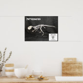 Psittacosaurus Skeleton Poster (Küche)