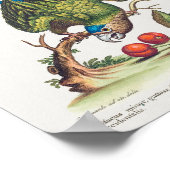 Psittacus minor gutture fusco, occidentalis 1749 poster (Ecke)