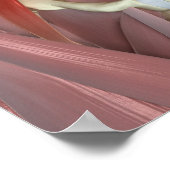 Psoas Major Poster (Ecke)