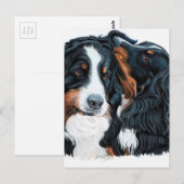 Psssst Postkarte (Vorne/Hinten)