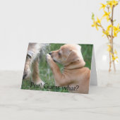 Psst! Vermutung was? Karte (Gelbe Blume)