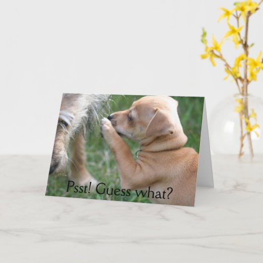 Psst! Vermutung was? Karte (Gelbe Blume)