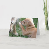 Psst! Vermutung was? Karte (Vorderseite)