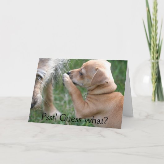 Psst! Vermutung was? Karte (Vorderseite)