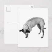 Pst—Überraschung kommt bald Postkarte (Vorne/Hinten)