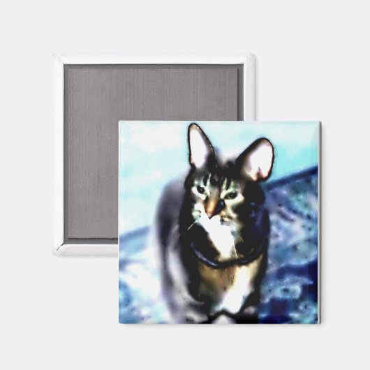 Psychadelic Kitty Magnet (Vorderseite/Rückseite)