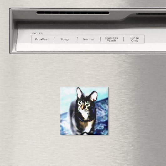 Psychadelic Kitty Magnet (In Situ (Geschirrspüler))