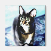 Psychadelic Kitty Magnet (Vorne)