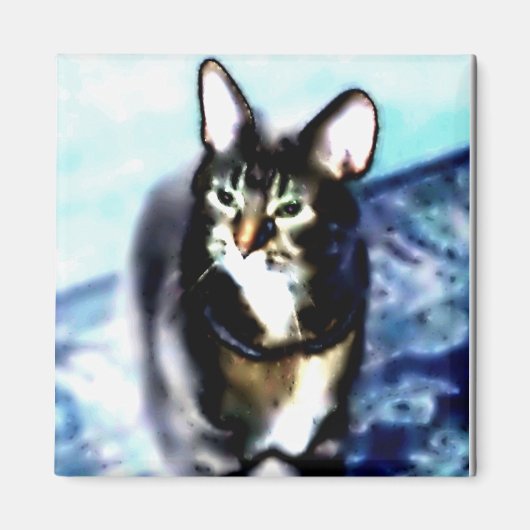 Psychadelic Kitty Magnet (Vorne)