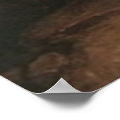 Psyche Opening the Golden Box by J W Waterhouse Poster (Ecke)