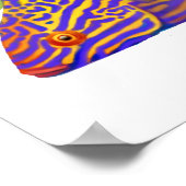Psychedelic Bell's Flasher Wrasse Fish Poster (Ecke)