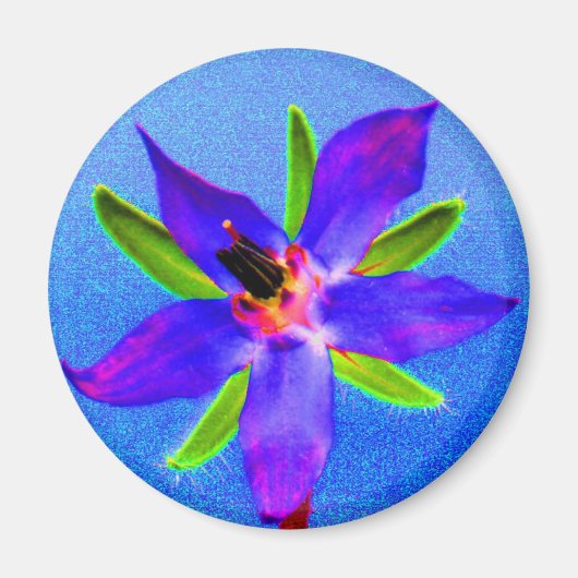 Psychedelic Borage Magnet (Vorne)