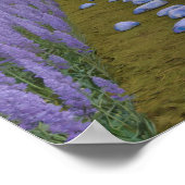 Psychedelic Garden Path Poster (Ecke)