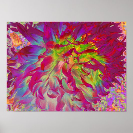Psychedelic Magenta und Yellow Dahlia Blume Poster (Vorne)